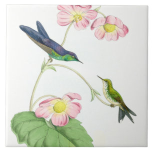 Carreau Animaux floraux de faune de fleurs d'oiseaux de
