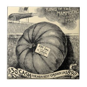 Carreau Annonce de Citrouille vintage de fruits et légumes