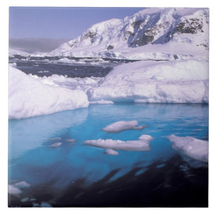 Carreau Antarctique. Expédition à travers les échappée