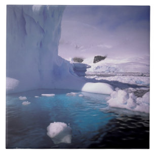 Carreau Antarctique. Sévices de l'Antarctique 2
