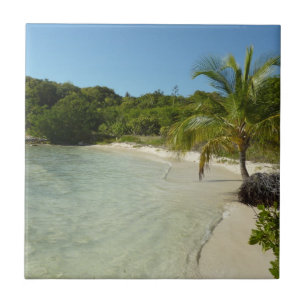 Carreau Antiguan Beach Beautiful Tropical Landscape