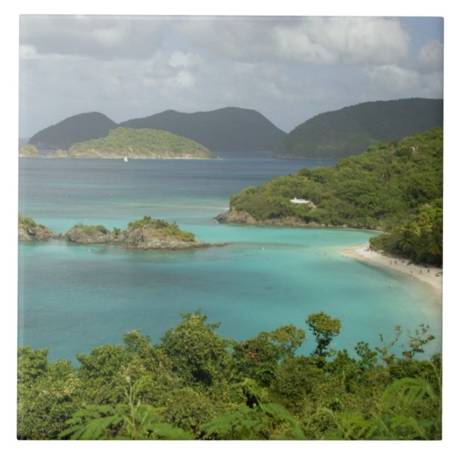 Carreau Antilles, îles Vierges américaines, St. John, Trun (Devant)