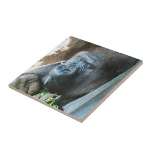 Carreau Ape hood ~ Japonais Gorilla Manger