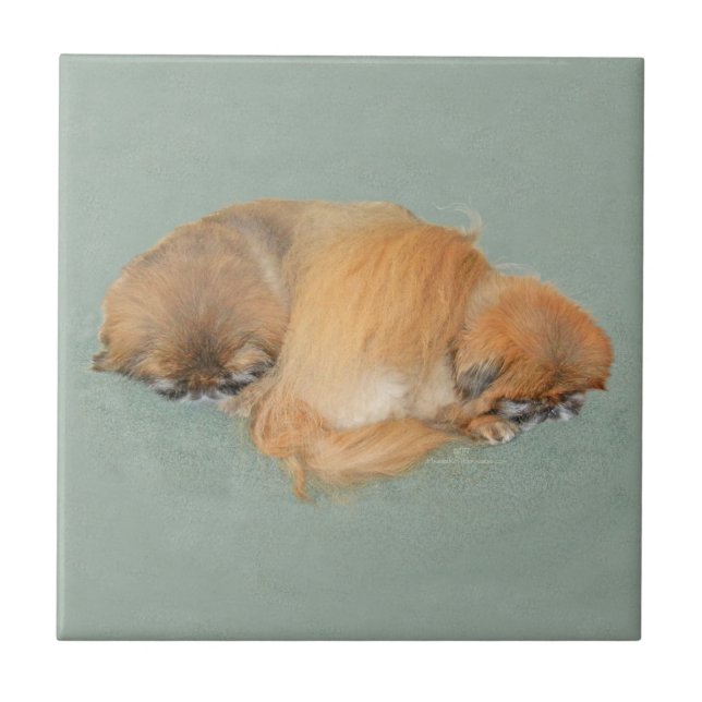 Carreau Après-midi endormi (Devant)