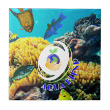 Aqua Blend