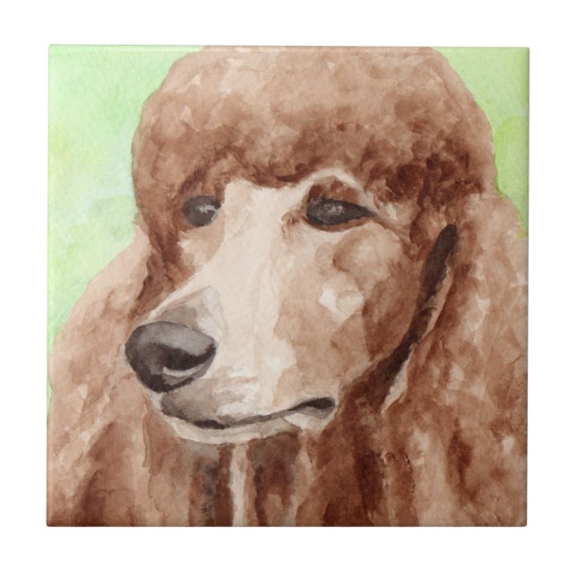 Carreau Aquarelle (Devant)