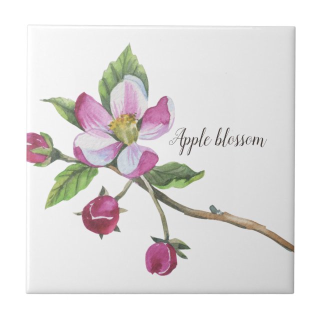 Carreau Aquarelle Apple Blossom Botanique (Devant)