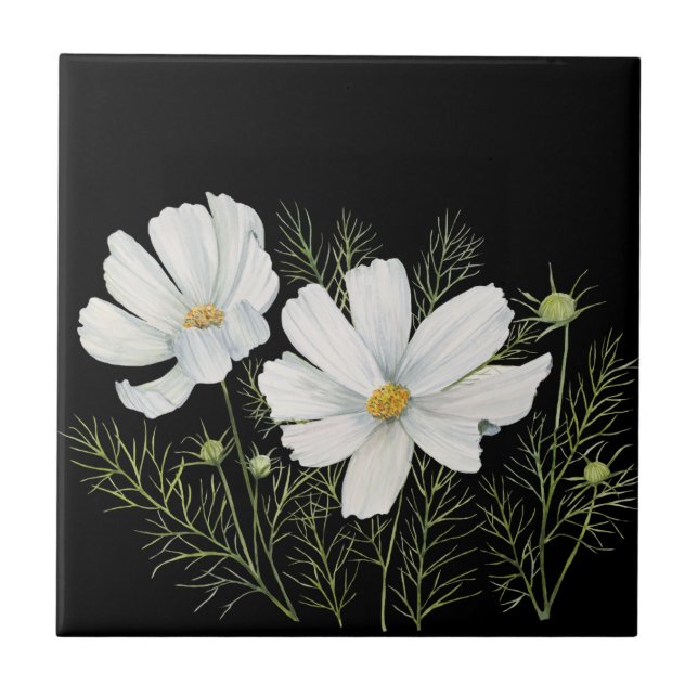 Carreau Aquarelle Blanc Cosmos Fleurs Peinture Botanique (Devant)