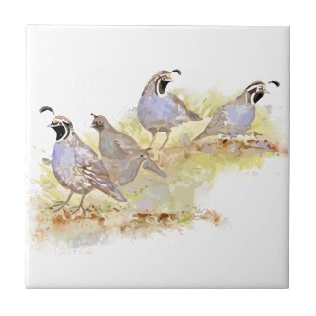 Carreau Aquarelle Californie Quail Bird Nature Art (Devant)