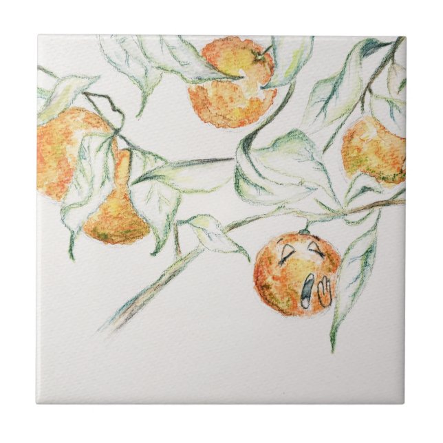 Carreau Aquarelle Citrus Fruit Clementine Cutie (Devant)