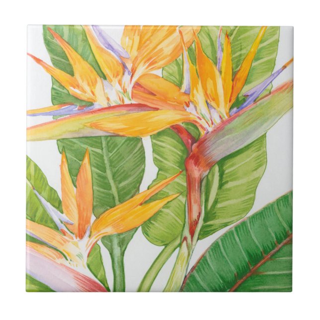Carreau Aquarelle de fleurs exotiques (Devant)