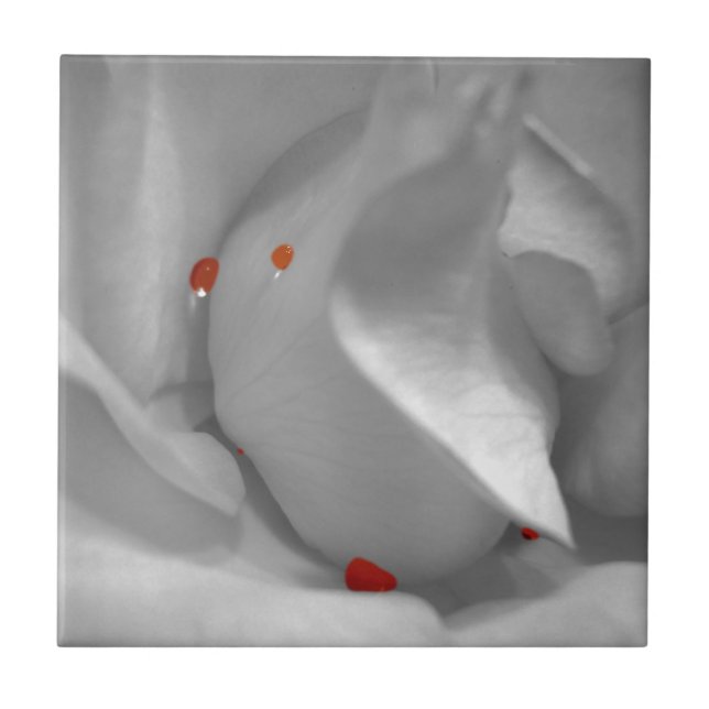 Carreau Aquarelle Éolienne Carrelage décoratif (Devant)