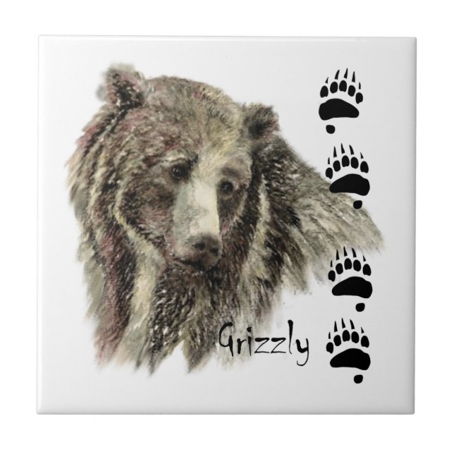 Carreau Aquarelle Grizzli Ours Faune Nature Art (Devant)