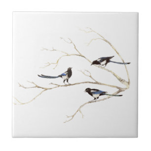 Carreau Aquarelle Magpie Bird Famille Chatte dans l'arbre