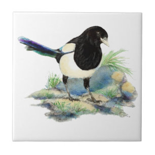 Carreau Aquarelle Magpie Oiseau Faune Art