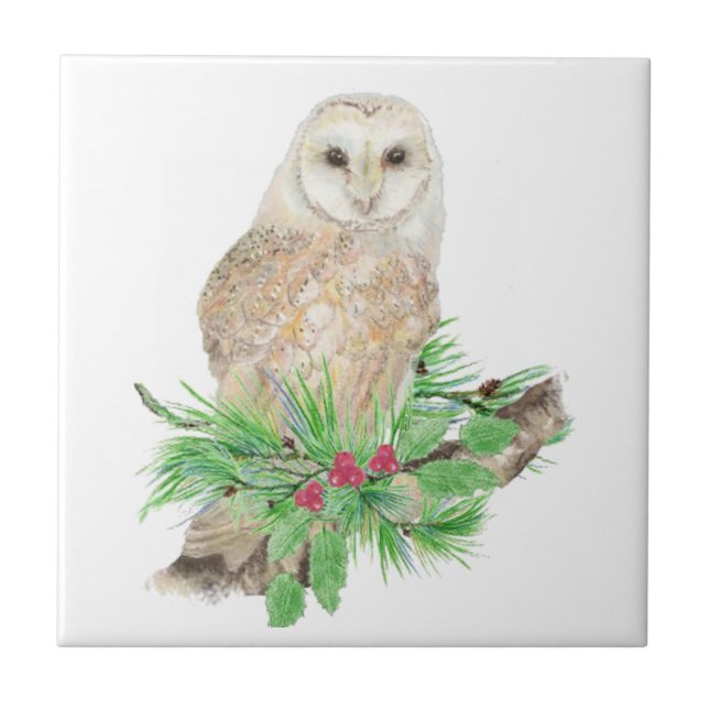 Carreau Aquarelle Noël Grotte Chouette Oiseau Faune (Devant)