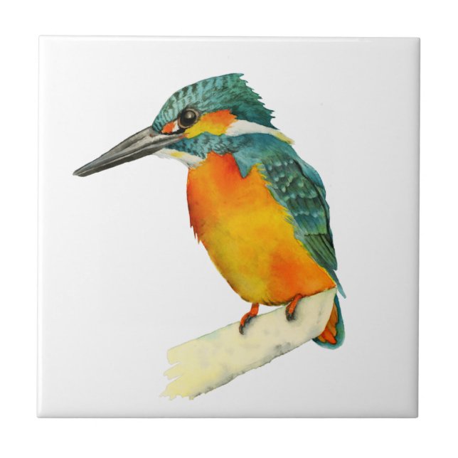 Carreau Aquarelle orange et verte d'oiseau de (Devant)