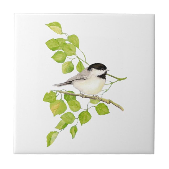 Carreau Aquarelle Pickadee Poplaire Art (Devant)