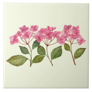 Carreau Aquarelle rose Hydrangea Lacecaps Motif