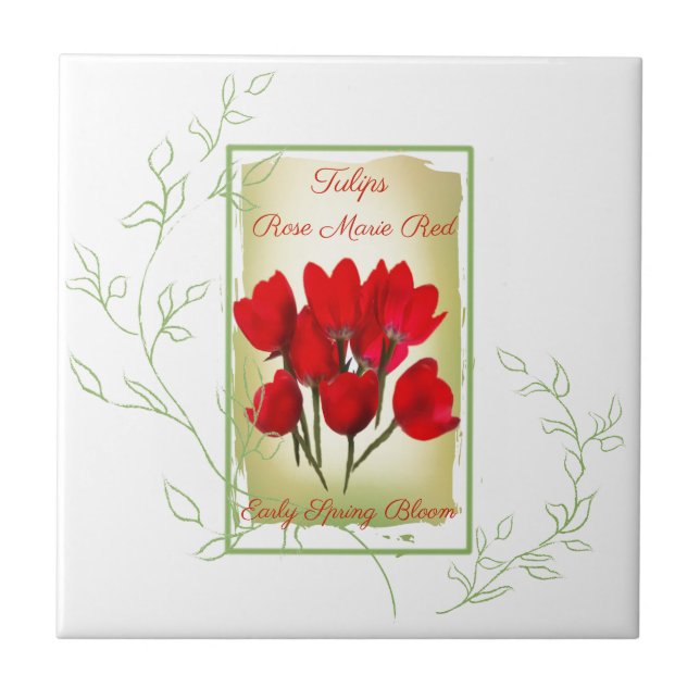 Carreau Aquarelle Rouge Tulipe - Paquet de graines (Devant)
