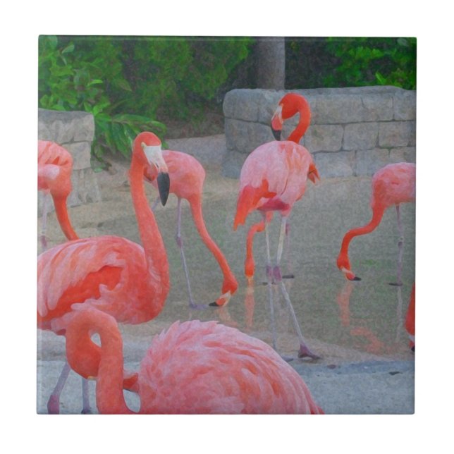 Carreau Aquarelle Tropical Rose Floride Flamingos (Devant)