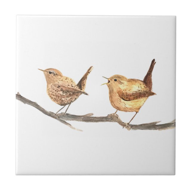 Carreau Aquarelle Wren Bird Wildlife Colorée (Devant)