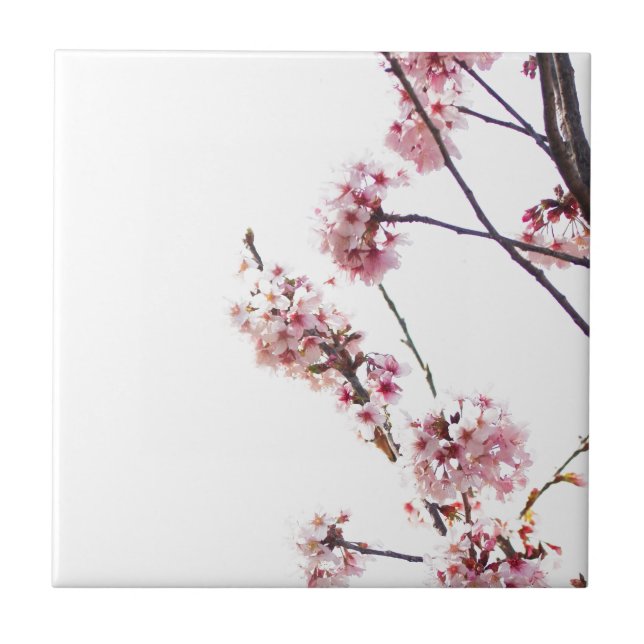 Carreau Arbre à cerisiers en fleurs (Devant)