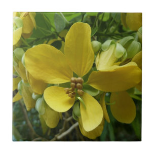 Carreau Arbre à douche dorée Tropical Jaune Floral