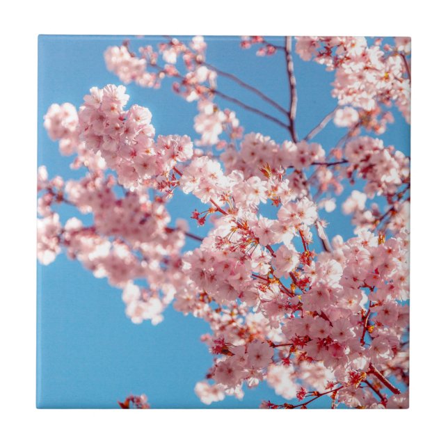 Carreau Arbre à fleurs de cerisier Sakura (Devant)
