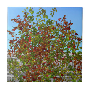 Carreau Arbre d'automne Cardinal Birds Carrelage en cérami