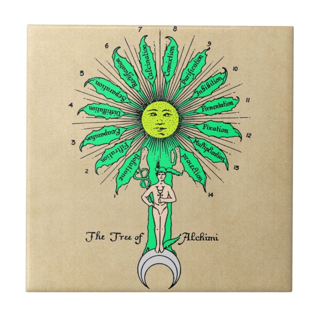 Carreau Arbre de Hermes de l'alchimie (Devant)