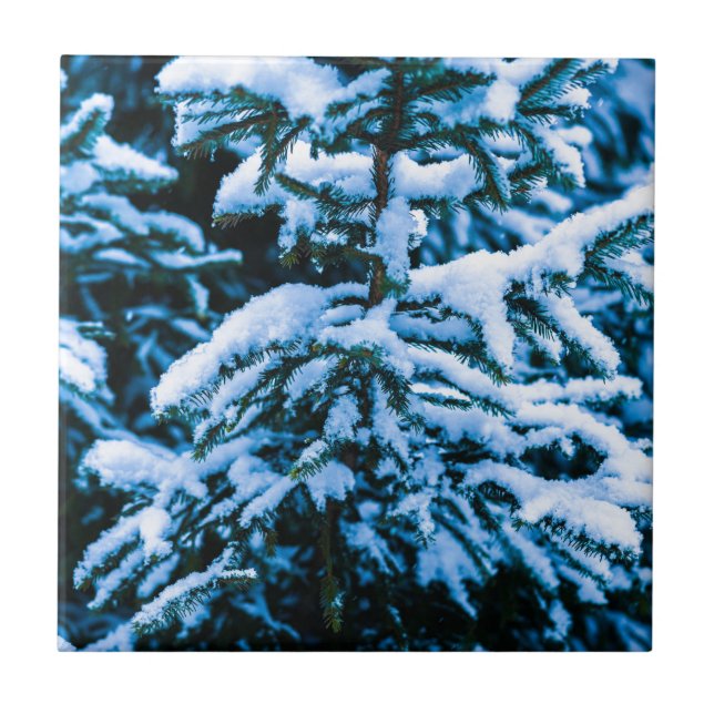 Carreau Arbre de Noël de neige (Devant)