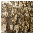 Arbre écorce II Conception texturée naturelle