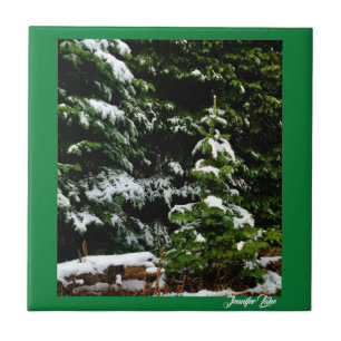 Carreau Arbre solitaire