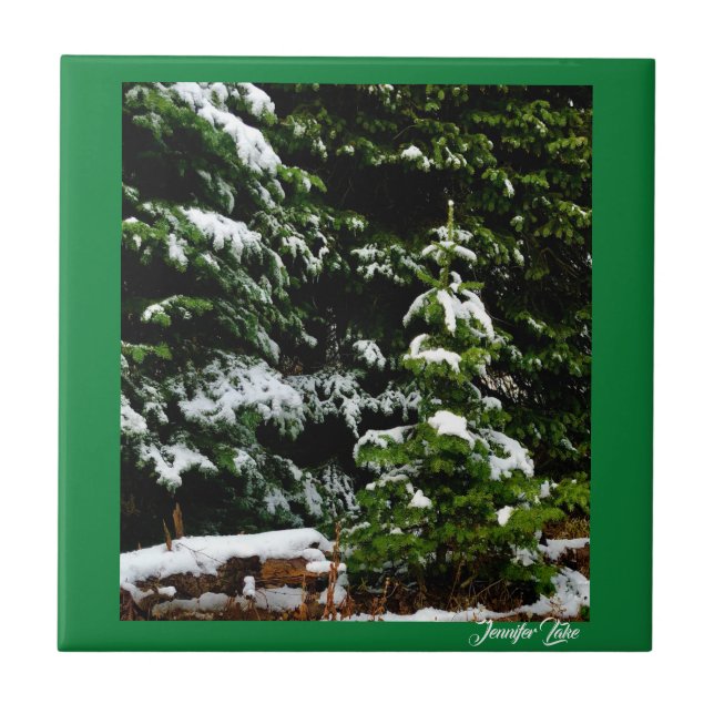 Carreau Arbre solitaire (Devant)