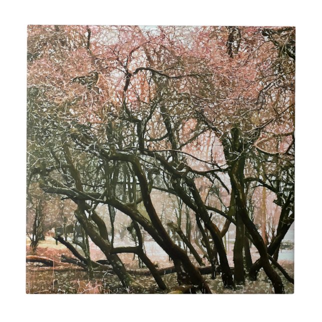 CARREAU ARBRES (Devant)