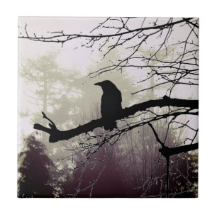Carreau Arbres dans le brouillard avec un carrelage en cér