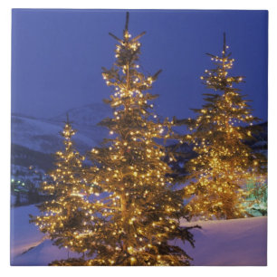 Carreau Arbres de Noël, Park City, montagnes de Wastch, 2