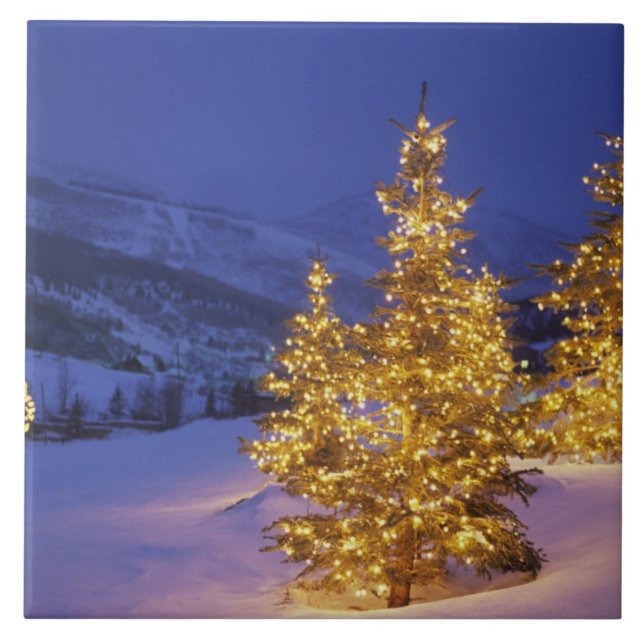 Carreau arbres de Noël, Park City, Wastch Mountains, (Devant)