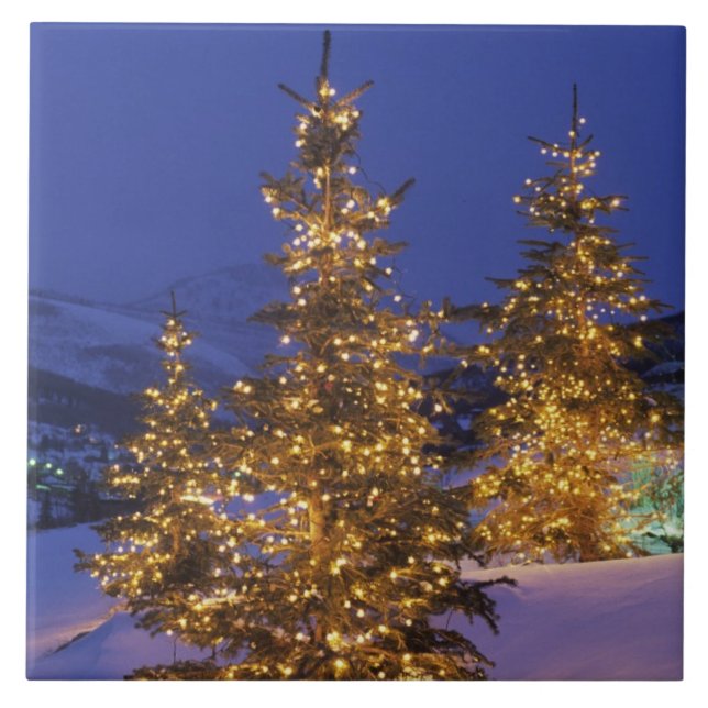 Carreau Arbres de Noël, Park City, Wastch Mountains, 2 (Devant)