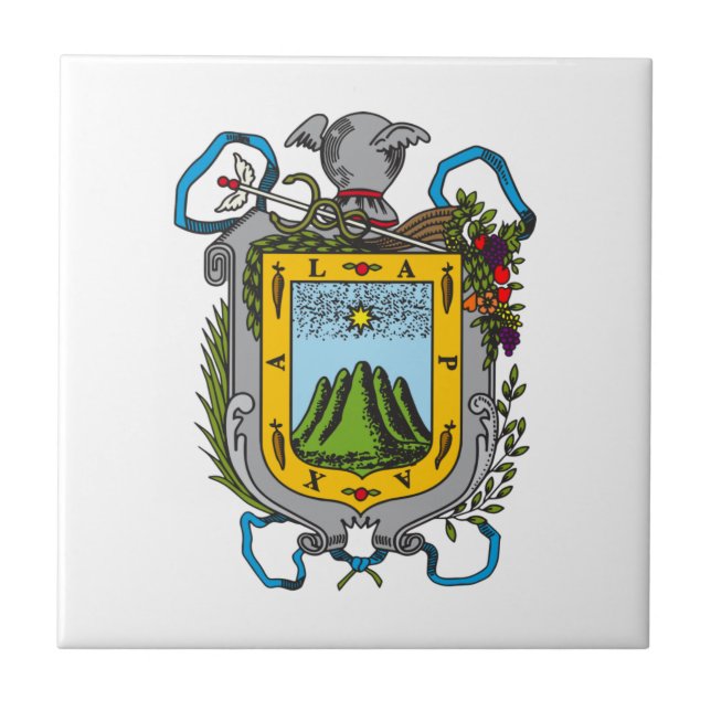 Carreau Armoiries de Xalapa, Mexique Carrelage en céramiqu (Devant)