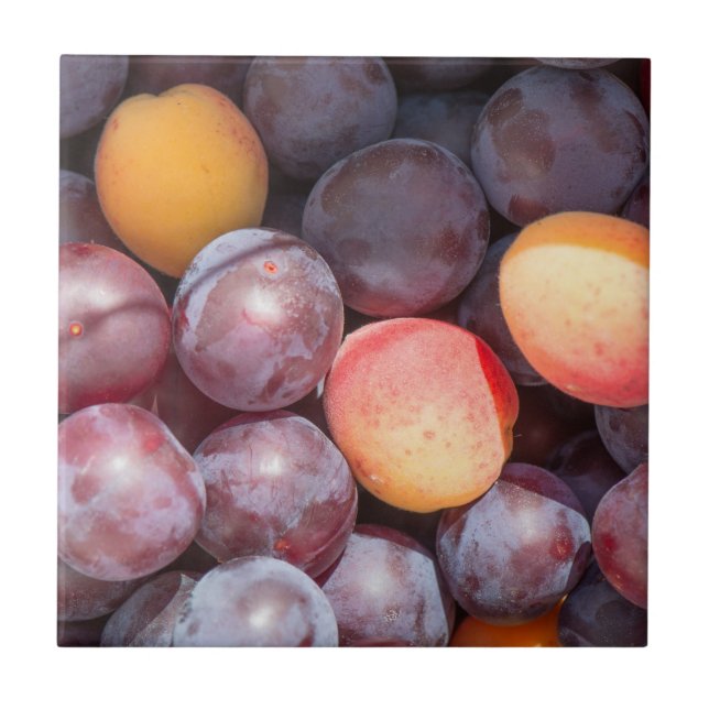 Carreau Arrière - plan de prune cerise (Devant)