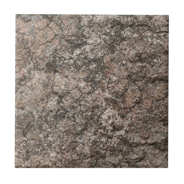 Carreau Arrière - plan sec criqué de texture de (Devant)