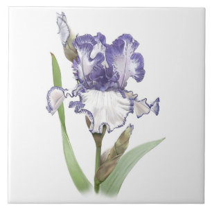 Carreau Art botanique à fleur d'Iris, violet et blanc