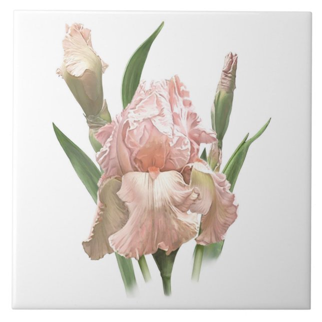 Carreau Art Botanique Fleur Iris, Joliment Porté Rose (Devant)