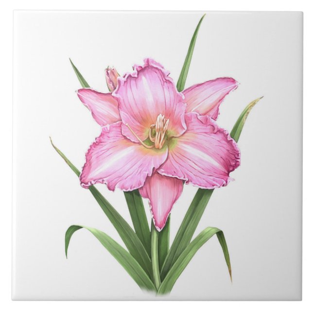 Carreau Art botanique rose Daylily (Devant)