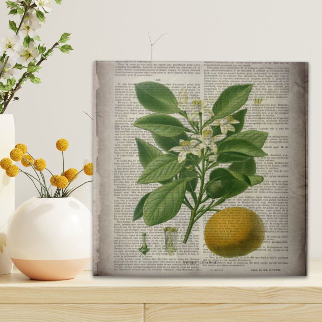 Carreau art botanique vintage contemporain (modern vintage french country botanical art orange ceramic tile)