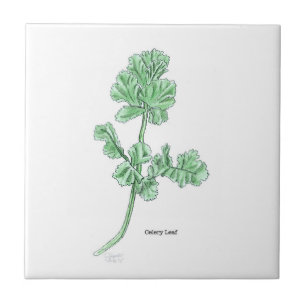 Carreau Art Celery Leaf