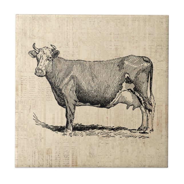 Carreau Art classique de la vache à l'ancienne (Devant)