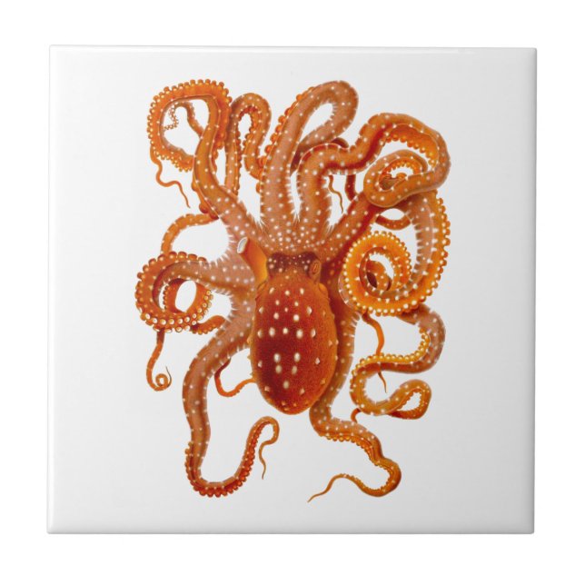 Carreau Art de créature de mer de céphalopode du poulpe (Devant)